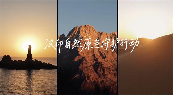 漢印三原色守護行動